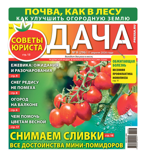 Газета ДАЧА